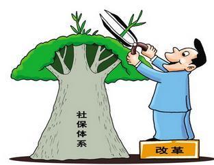 個人繳納社保和公司繳納的社保有何不同？ 第1張