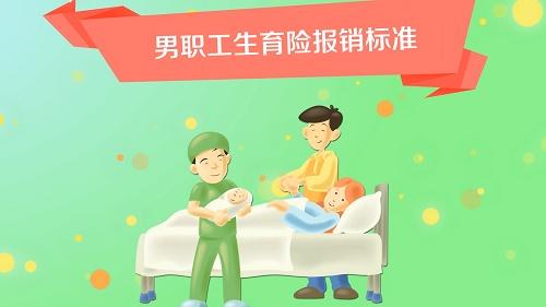 生育保險(xiǎn)男的能報(bào)多少？ 第1張